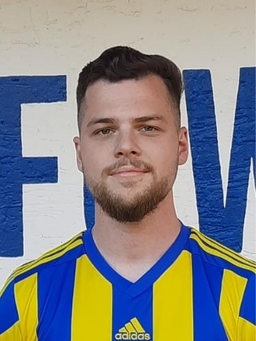 Avatar Bild für Dominik Werner