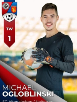 Avatar Bild für Michael Ogloblinski