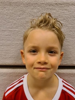 Avatar Bild für Pedro Probstmeyer