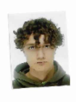 Avatar Bild für Philipp Dreznjak
