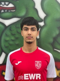 Avatar Bild für Berzan Sahin