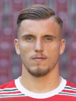 Avatar Bild für Ermedin Demirović