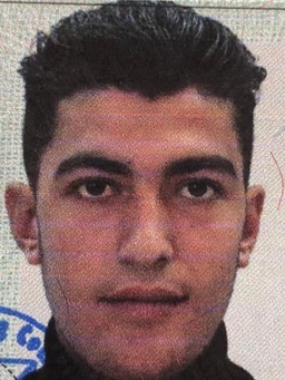 Avatar Bild für Mohamed Alsamou