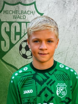 Avatar Bild für Finn Pröllochs