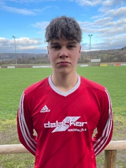 Avatar Bild für Florentin Stahl