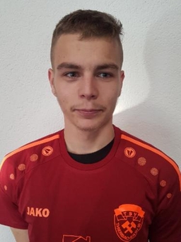 Avatar Bild für Francesco-Luis Treibl