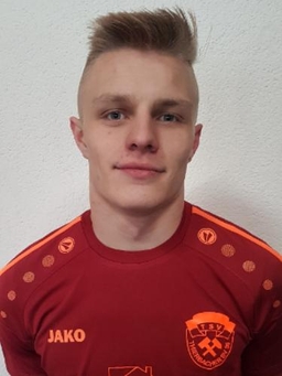 Avatar Bild für Dustin Treibl