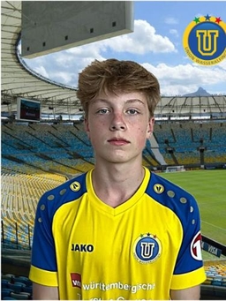 Avatar Bild für Niklas Nafziger