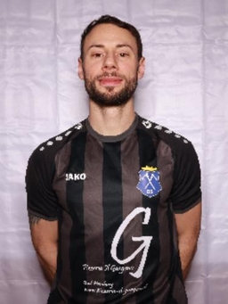 Avatar Bild für Vincenzo Carotenuto