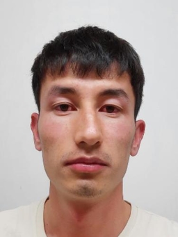 Avatar Bild für Ghulam Sakhi Azizi