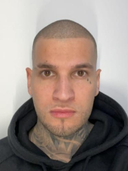 Avatar Bild für Nicolas Amadeus Marquez