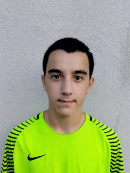 Avatar Bild für Ilja Tabagua