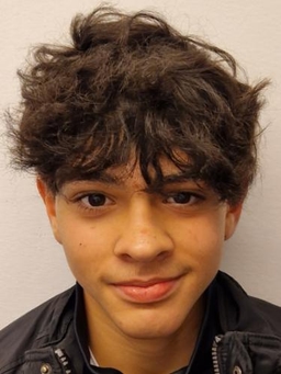 Avatar Bild für Ammar Redjepi