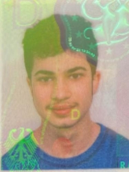 Avatar Bild für Erfan Ramazani