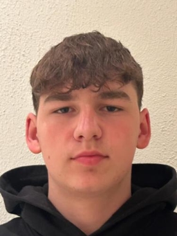 Avatar Bild für Levi Dahlem
