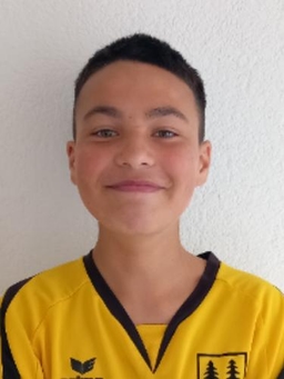 Avatar Bild für Breno Hess