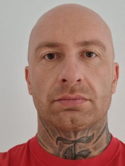 Avatar Bild für Dennis Mashemke