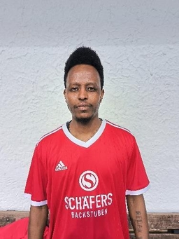 Avatar Bild für Tasfalem Testamaryam