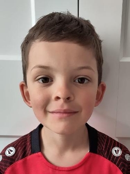 Avatar Bild für Tyler Hollstein