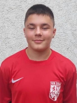 Avatar Bild für Daniil Steshenko