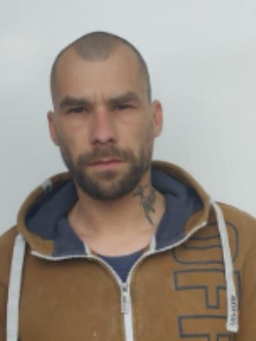 Avatar Bild für Felix Weßlowski