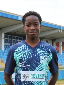 Avatar Bild für Marvin Hounkpati