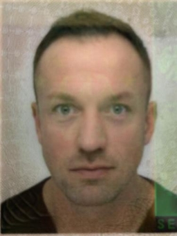 Avatar Bild für Dominique Sellmann