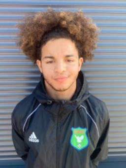 Avatar Bild für Omar Raouafi