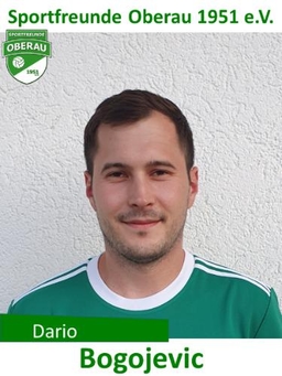 Avatar Bild für Dario Bogojevik