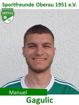 Avatar Bild für Manuel Gagulic
