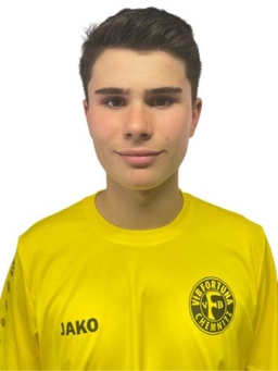 Avatar Bild für Henrik Siegel