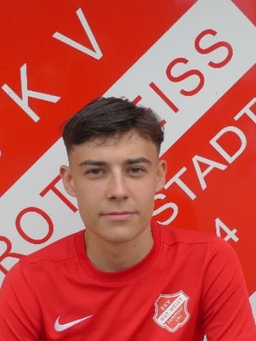 Avatar Bild für Adnan Voloder