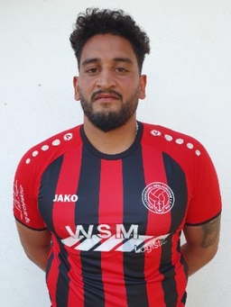 Avatar Bild für Hugo Virapa