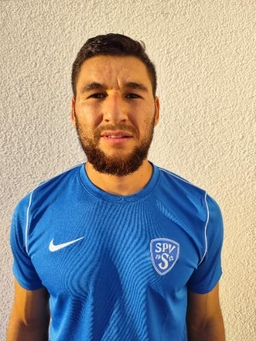 Avatar Bild für Zhelyazko Asenov