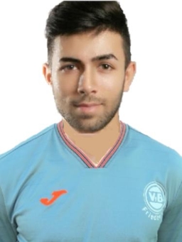 Avatar Bild für Hamed Azimi