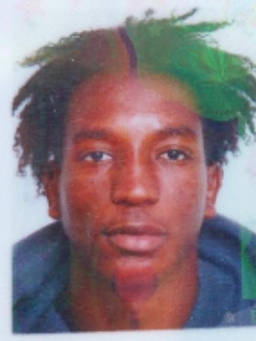 Avatar Bild für Amadou Bah