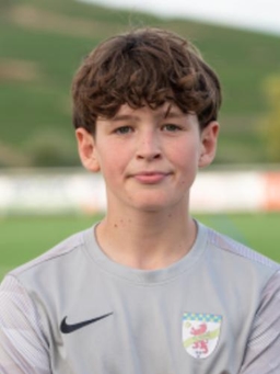 Avatar Bild für Tom Jakob Henschel