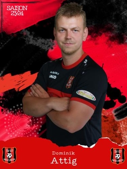 Avatar Bild für Dominik Attig