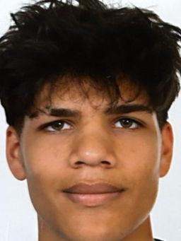 Avatar Bild für Ahmad Sahil Ahmady