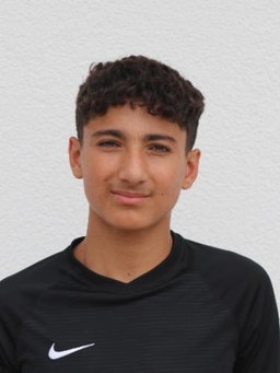 Avatar Bild für Mohammad Sulaiman