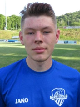 Avatar Bild für Henric Ritter
