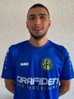 Avatar Bild für Dzemal Dzakmic