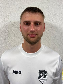 Avatar Bild für Vladyslav Zavolokin