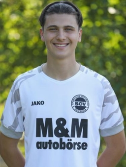 Avatar Bild für Dino Bektas