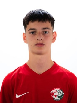 Avatar Bild für Erdi Ismaili