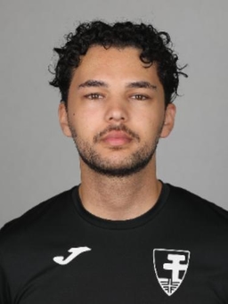 Avatar Bild für Massimiliano Gallo