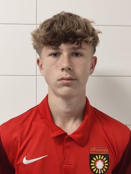 Avatar Bild für Laris Lisic