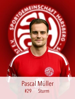 Avatar Bild für Pascal Dominik Müller