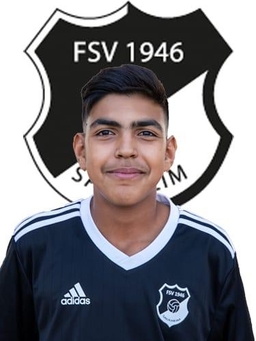 Avatar Bild für Amin El Hassnaoui