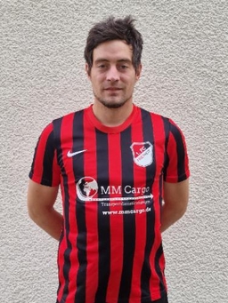 Avatar Bild für Domenic Stein